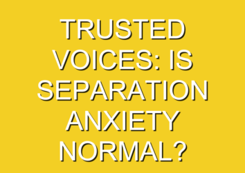 Trusted voices: Is separation anxiety normal?